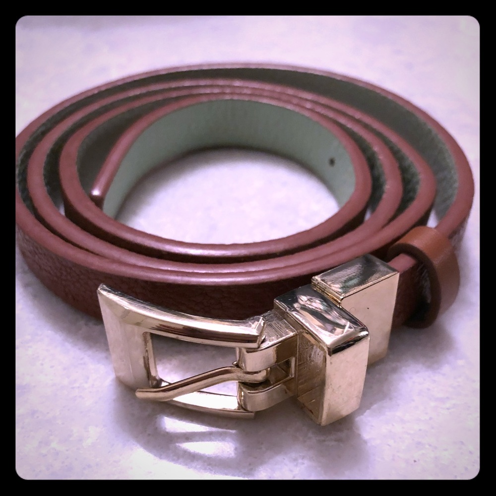 Brown and gold belt